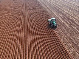 Cina: dopo la Festa di primavera riprende il lavoro nei campi (3)