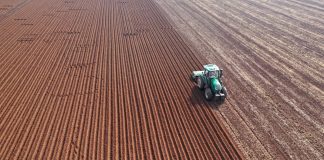 Cina: dopo la Festa di primavera riprende il lavoro nei campi (3)