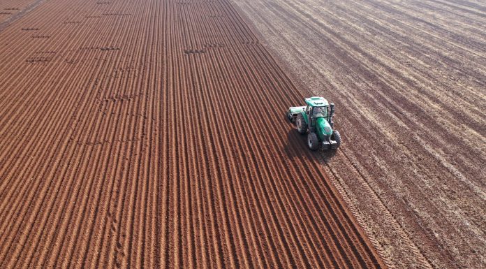 Cina: dopo la Festa di primavera riprende il lavoro nei campi (3)