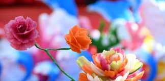 Cina: a Qingdao gara di intaglio dei ravanelli (3)