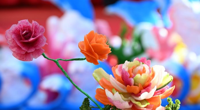 Cina: a Qingdao gara di intaglio dei ravanelli (3)