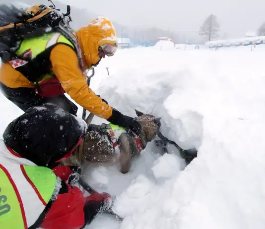 Valanghe sulle montagne friuliane, trovato senza vita il corpo di uno scialpinista a Casera Razzo
