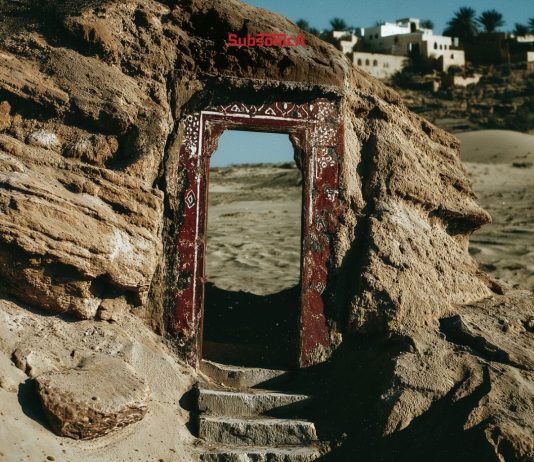 “Terre rare”, il nuovo album dei Subsonica