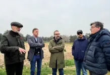 Xylella, chiuso il monitoraggio 2026 su area Triggiano. Paolicelli: “Nessuna espansione dopo due anni di interventi”