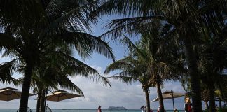 Cina: l’isola di Zhaoshu diventa un’oasi verde grazie alla tutela ecologica (3)