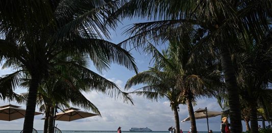 Cina: l’isola di Zhaoshu diventa un’oasi verde grazie alla tutela ecologica (3)