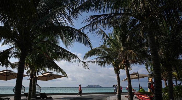 Cina: l’isola di Zhaoshu diventa un’oasi verde grazie alla tutela ecologica (3)