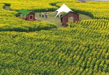 Cina: l’arrivo della primavera alimenta il turismo (3)