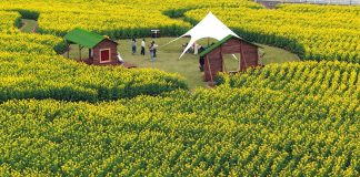 Cina: l’arrivo della primavera alimenta il turismo (3)