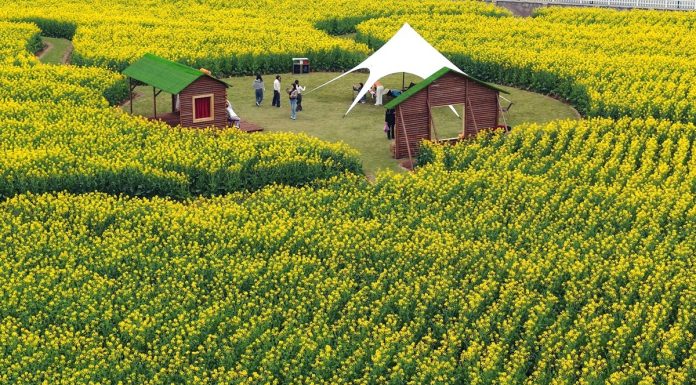 Cina: l’arrivo della primavera alimenta il turismo (3)