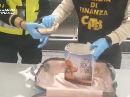 Sequestrati all’aeroporto di Malpensa 8 esemplari di corallo a rischio estinzione