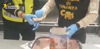 Sequestrati all’aeroporto di Malpensa 8 esemplari di corallo a rischio estinzione