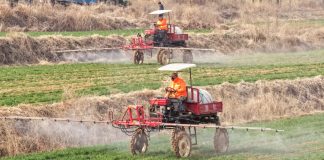 Cina: Shandong, in corso l’aratura per le coltivazioni primaverili (3)