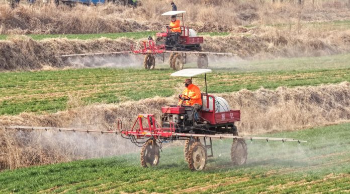 Cina: Shandong, in corso l’aratura per le coltivazioni primaverili (3)