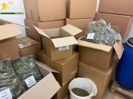Scoperta in provincia di Varese una società che produceva e confezionava marijuana: arrestati i sei responsabili / Video