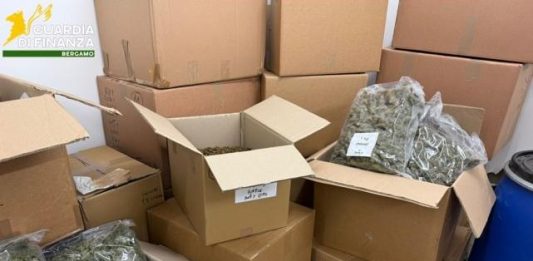 Scoperta in provincia di Varese una società che produceva e confezionava marijuana: arrestati i sei responsabili / Video