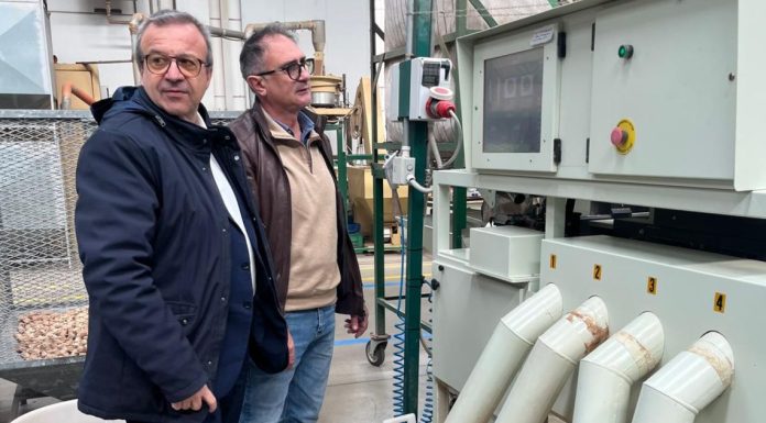 Sughero, l’assessore Cani incontra gli imprenditori a Berchidda: “Impegno comune per il rilancio del settore”