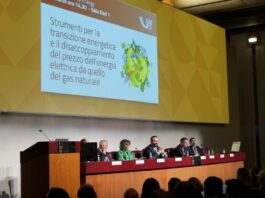 GSE, Vigilante “Contratti a lungo termine strumento contro volatilità dei prezzi”