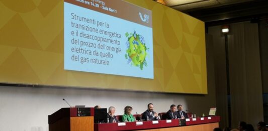 GSE, Vigilante “Contratti a lungo termine strumento contro volatilità dei prezzi”