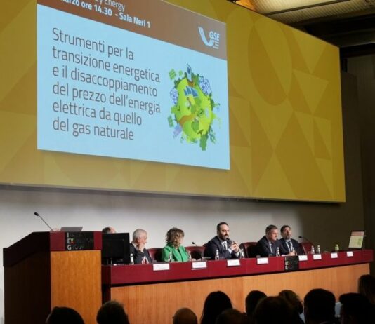 GSE, Vigilante “Contratti a lungo termine strumento contro volatilità dei prezzi”