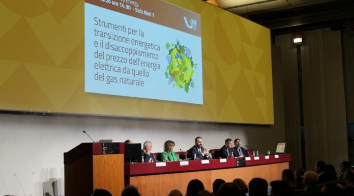 GSE, Vigilante “Contratti a lungo termine strumento contro volatilità dei prezzi”