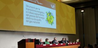 GSE, Vigilante “Contratti a lungo termine strumento contro volatilità dei prezzi”