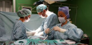 A Roma un convegno sul lavoro delle professioni sanitarie dietro i trapianti