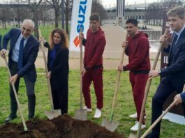 Si allarga il “Bosco diffuso Suzuki”, 29 nuovi aceri donati alla città di Torino