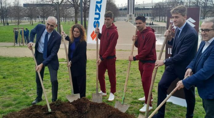 Si allarga il “Bosco diffuso Suzuki”, 29 nuovi aceri donati alla città di Torino