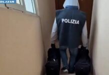 Nascondeva 65 kg droga in casa, 35enne romana tradita da passeggiate con il cane