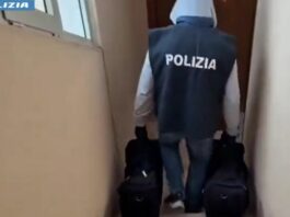 Nascondeva 65 kg droga in casa, 35enne romana tradita da passeggiate con il cane