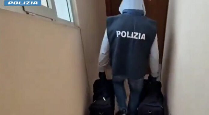 Nascondeva 65 kg droga in casa, 35enne romana tradita da passeggiate con il cane