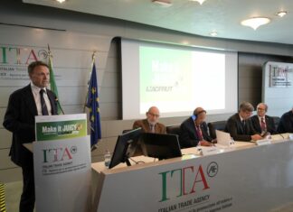 Macfrut 2026, a Rimini la filiera mondiale dell’ortofrutta