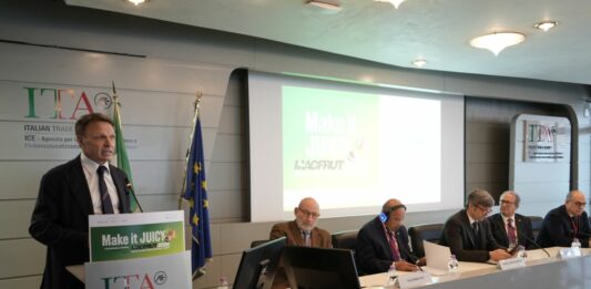 Macfrut 2026, a Rimini la filiera mondiale dell’ortofrutta