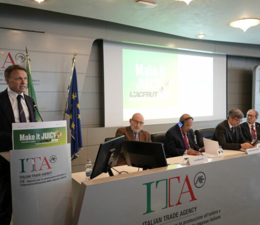 Macfrut 2026, a Rimini la filiera mondiale dell’ortofrutta