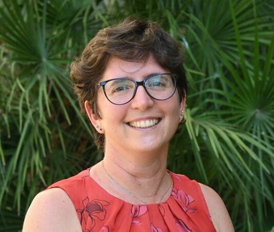 Castelli (CDCNPA) “Raccolta e riciclo batterie una leva industriale strategica”