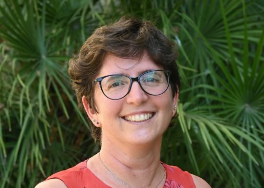 Castelli (CDCNPA) “Raccolta e riciclo batterie una leva industriale strategica”