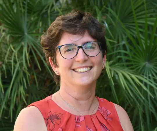 Castelli (CDCNPA) “Raccolta e riciclo batterie una leva industriale strategica”