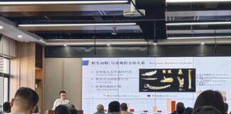 Cina: dall’Italia a Xi’an, il viaggio di un’archeologa lungo la Via della seta