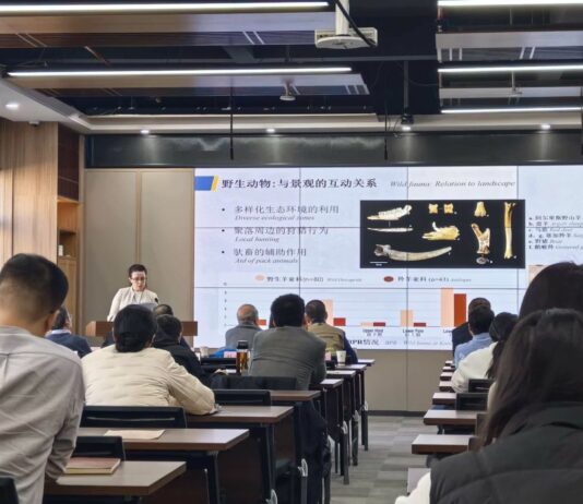 Cina: dall’Italia a Xìan, il viaggio di un’archeologa lungo la Via della seta