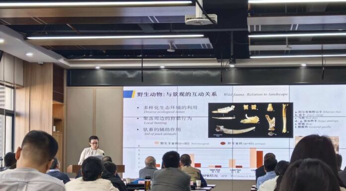 Cina: dall’Italia a Xìan, il viaggio di un’archeologa lungo la Via della seta