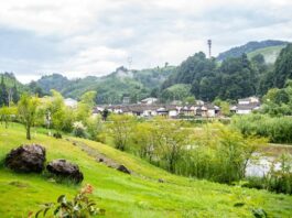 Cina, obiettivo accelerare sullo sviluppo sostenibile nel prossimo quinquennio