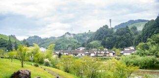 Cina, obiettivo accelerare sullo sviluppo sostenibile nel prossimo quinquennio