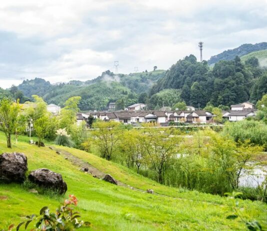 Cina, obiettivo accelerare sullo sviluppo sostenibile nel prossimo quinquennio