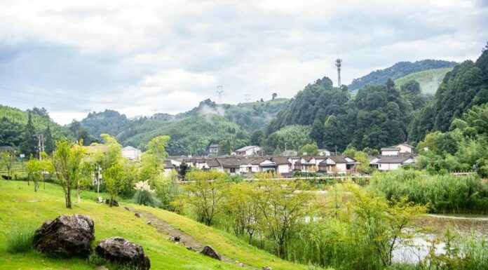 Cina, obiettivo accelerare sullo sviluppo sostenibile nel prossimo quinquennio