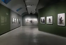 Alle Gallerie d’Italia di Torino la mostra “Nick Brandt”