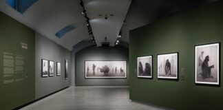 Alle Gallerie d’Italia di Torino la mostra “Nick Brandt”