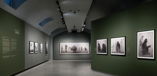 Alle Gallerie d’Italia di Torino la mostra “Nick Brandt”