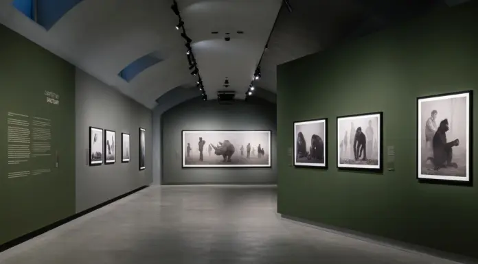 Alle Gallerie d’Italia di Torino la mostra “Nick Brandt”