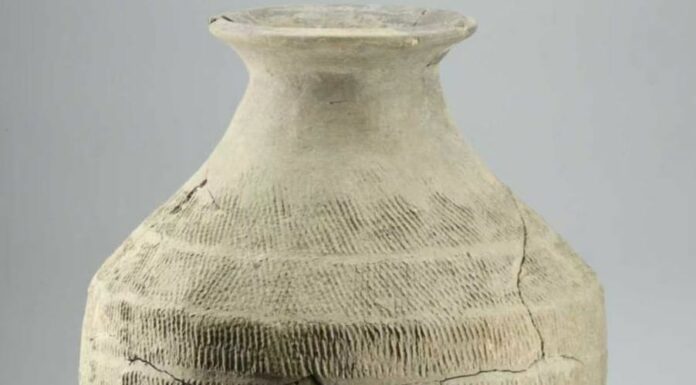 Cina: Shaanxi, rinvenuti reperti culturali della dinastia Zhou Occidentale